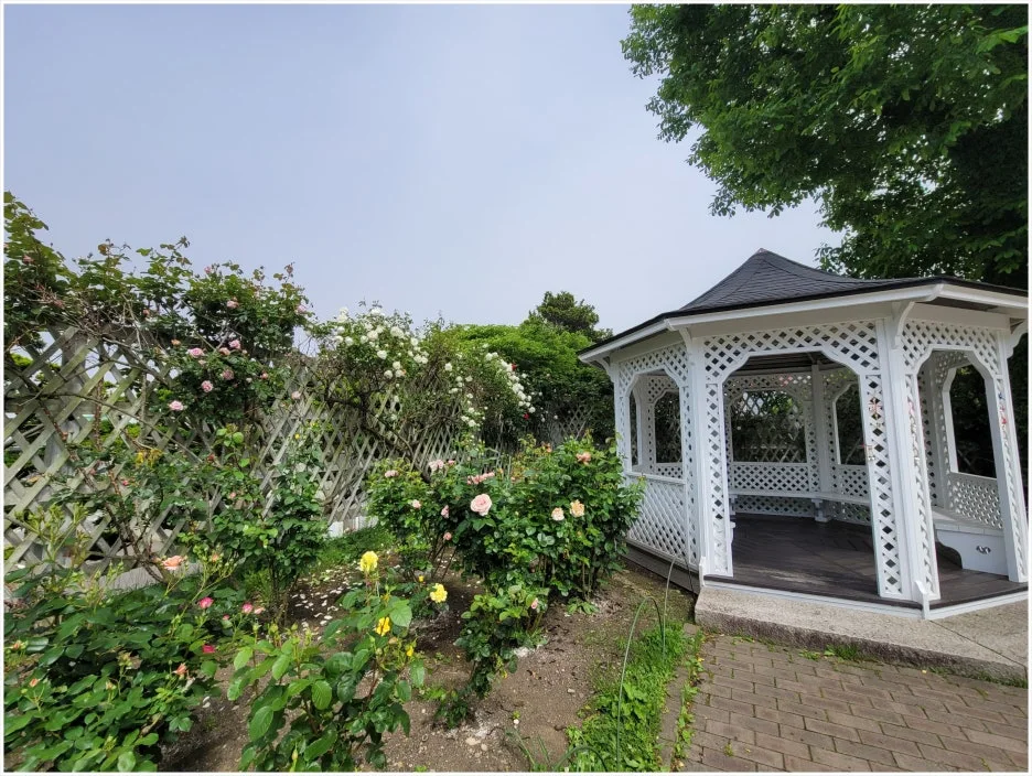 SE-0d3c1715-d578-4d13-8734-aeb7ec9e4b5e.jpg?type=w1