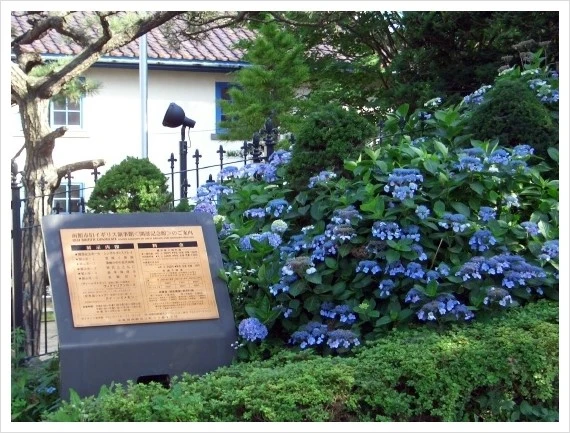 BBE7C1F8_389_1-fall339.jpg?type=w1