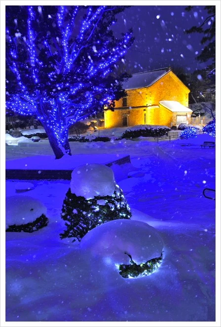 %EB%AA%A8%ED%86%A0%EB%A7%88%EC%B9%98_%EA%B3%B5%EC%9B%901.jpg?type=w1