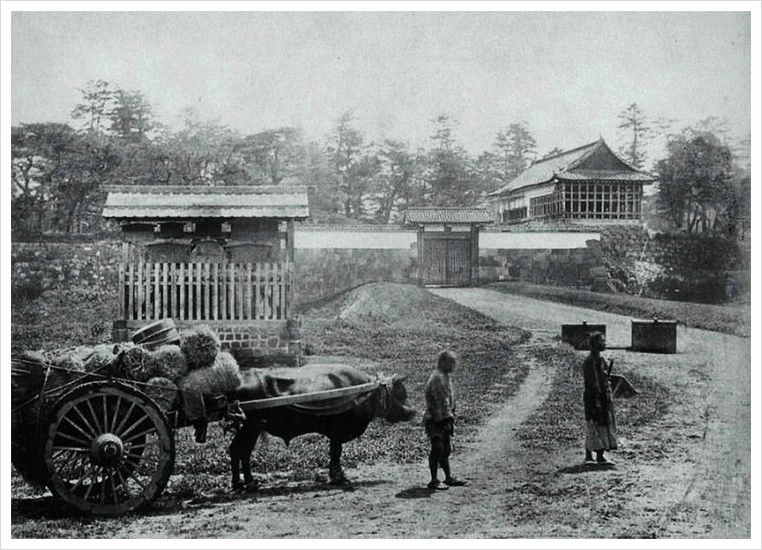 %ED%95%9C%EC%A1%B0%EB%AC%B8.jpg?type=w1