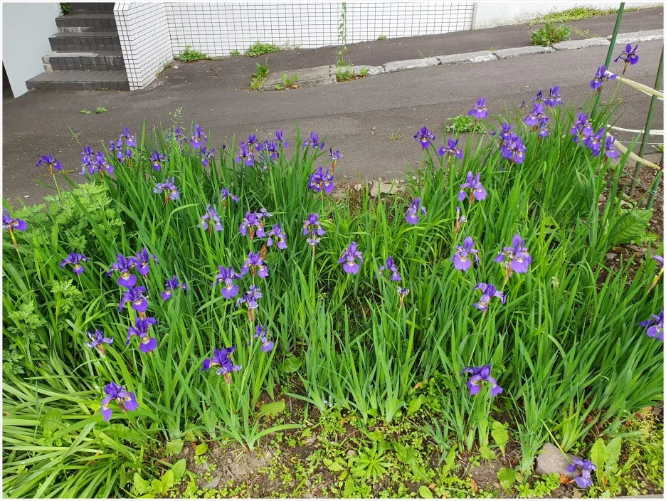 SE-33921093-60ba-4f51-8888-a17b2df71c07.jpg?type=w1