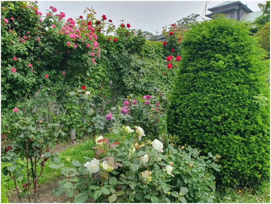 SE-a00b95c4-d9eb-4b92-bf6f-8e831a9a2fdc.jpg?type=w1