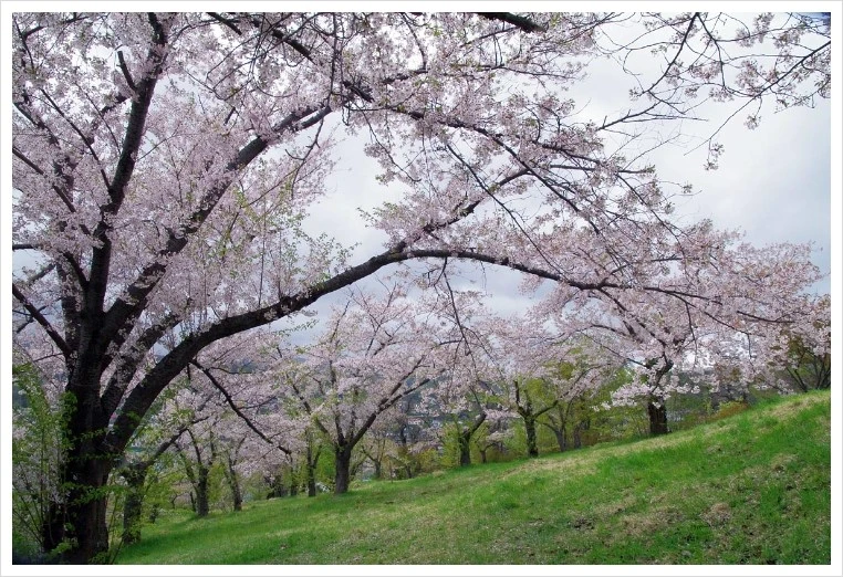 b0103798_4584622.jpg?type=w1