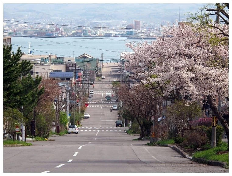 c0228207_23211810.jpg?type=w1