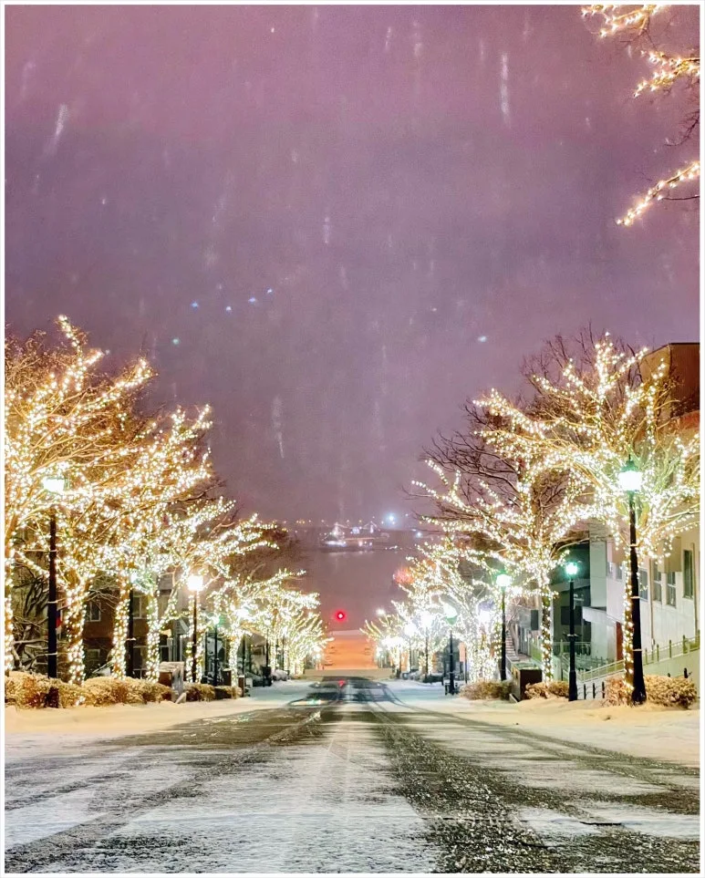 SE-2bec5ba3-64da-4f49-a63e-dc0672f7aa65.jpg?type=w773