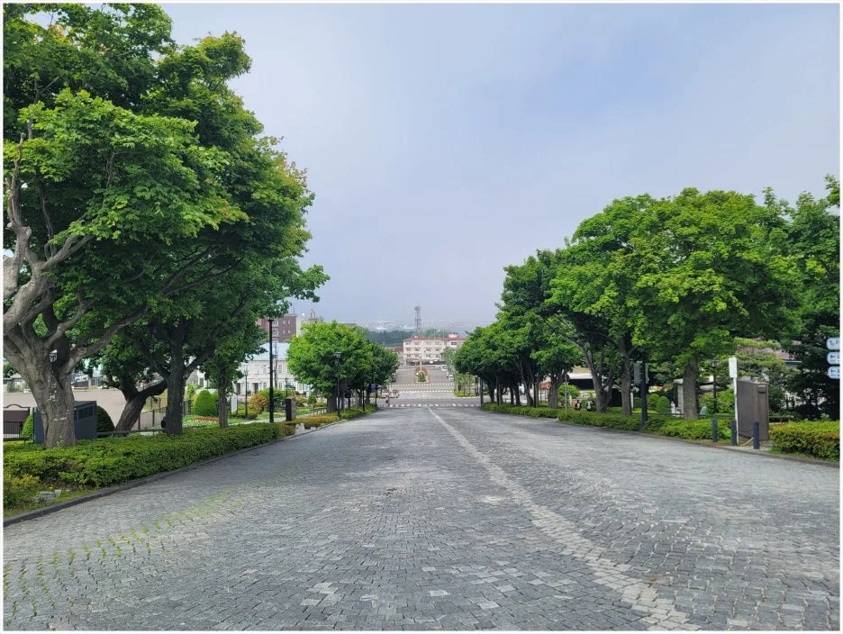 SE-1a874291-cce8-4e9b-9aa1-53afe8a04d7d.jpg?type=w1