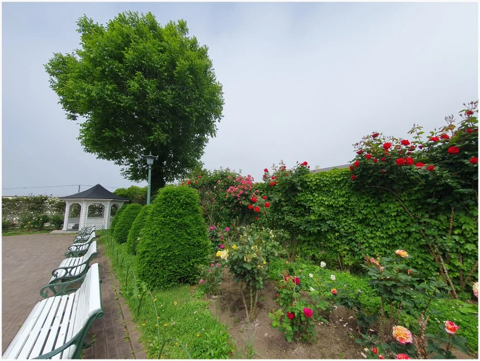 SE-7f1757da-9d19-46b0-9f98-88481ec09317.jpg?type=w1