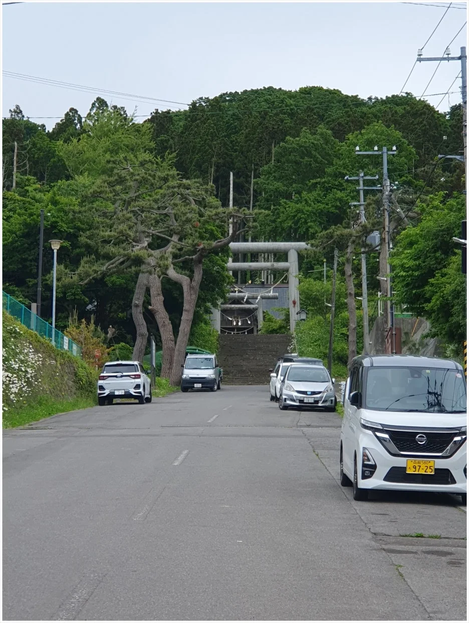 SE-21e1b3c6-24ab-4e19-8097-a75eda5ba874.jpg?type=w1