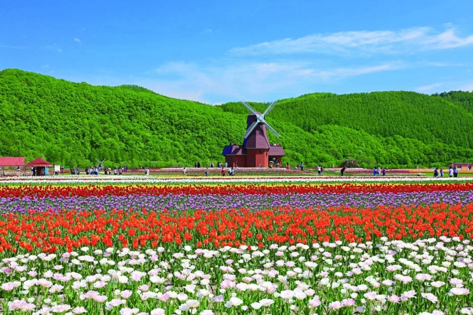 11295_9_l.jpg?type=w1