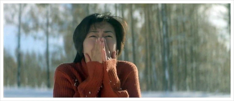 Love.Letter.1995.x264.DTS-WAF.mkv_006236320.png?type=w1