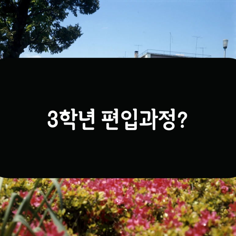 003.png?type=w773