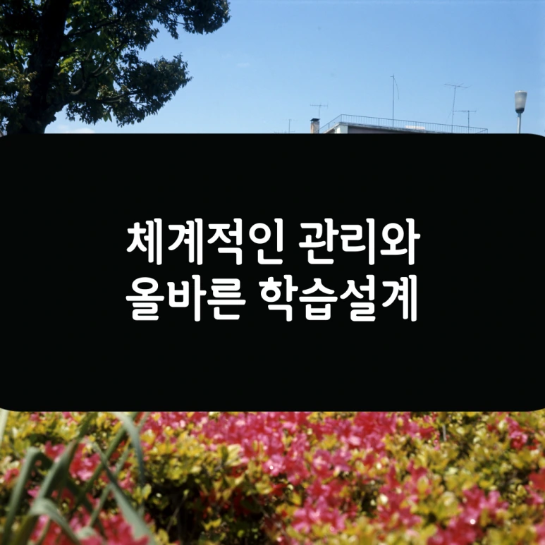 006.png?type=w773