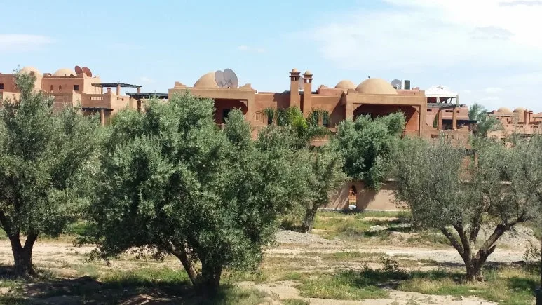 20180502_155239.jpg?type=w773