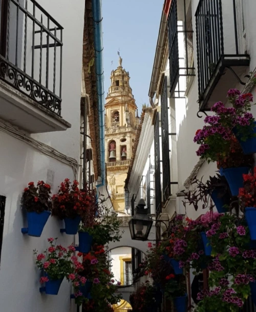 1529758965413.jpeg?type=w773