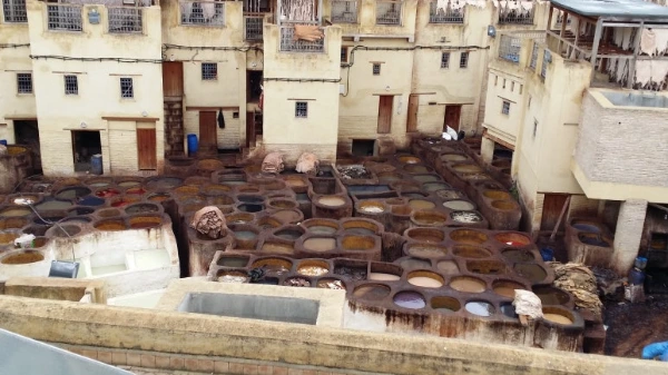 20180501_100845.jpg?type=w773