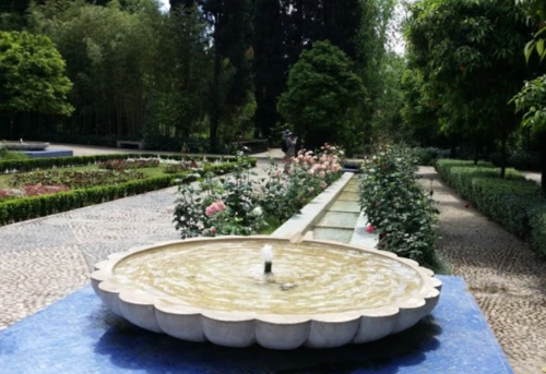 20180501_122815.jpg?type=w773