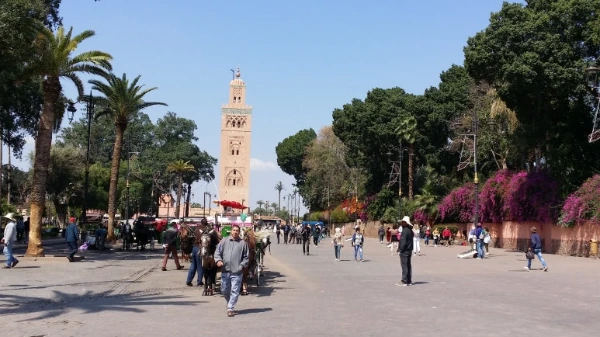 20180503_110638.jpg?type=w773