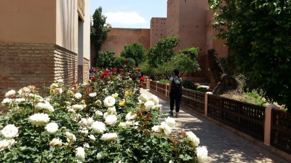 20180503_125936.jpg?type=w773