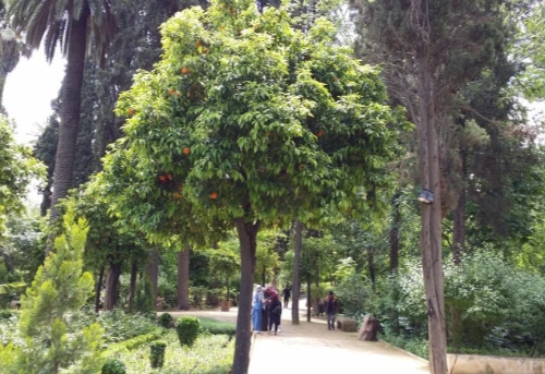 20180501_122252.jpg?type=w773