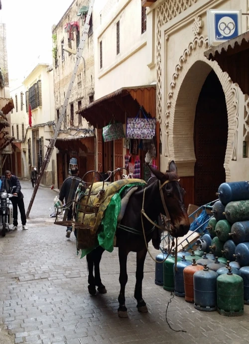 20180501_102228.jpg?type=w773