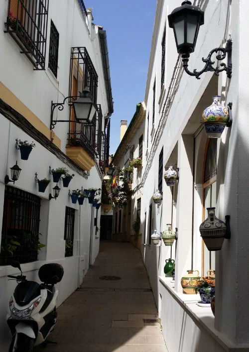 20180424_121955.jpg?type=w773