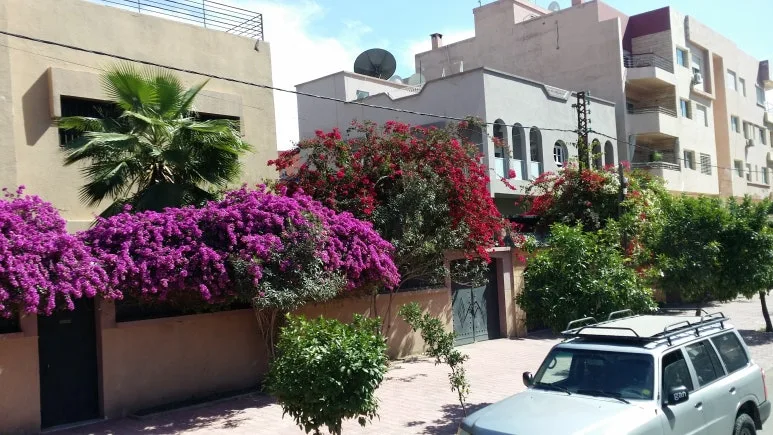 20180502_161447.jpg?type=w773