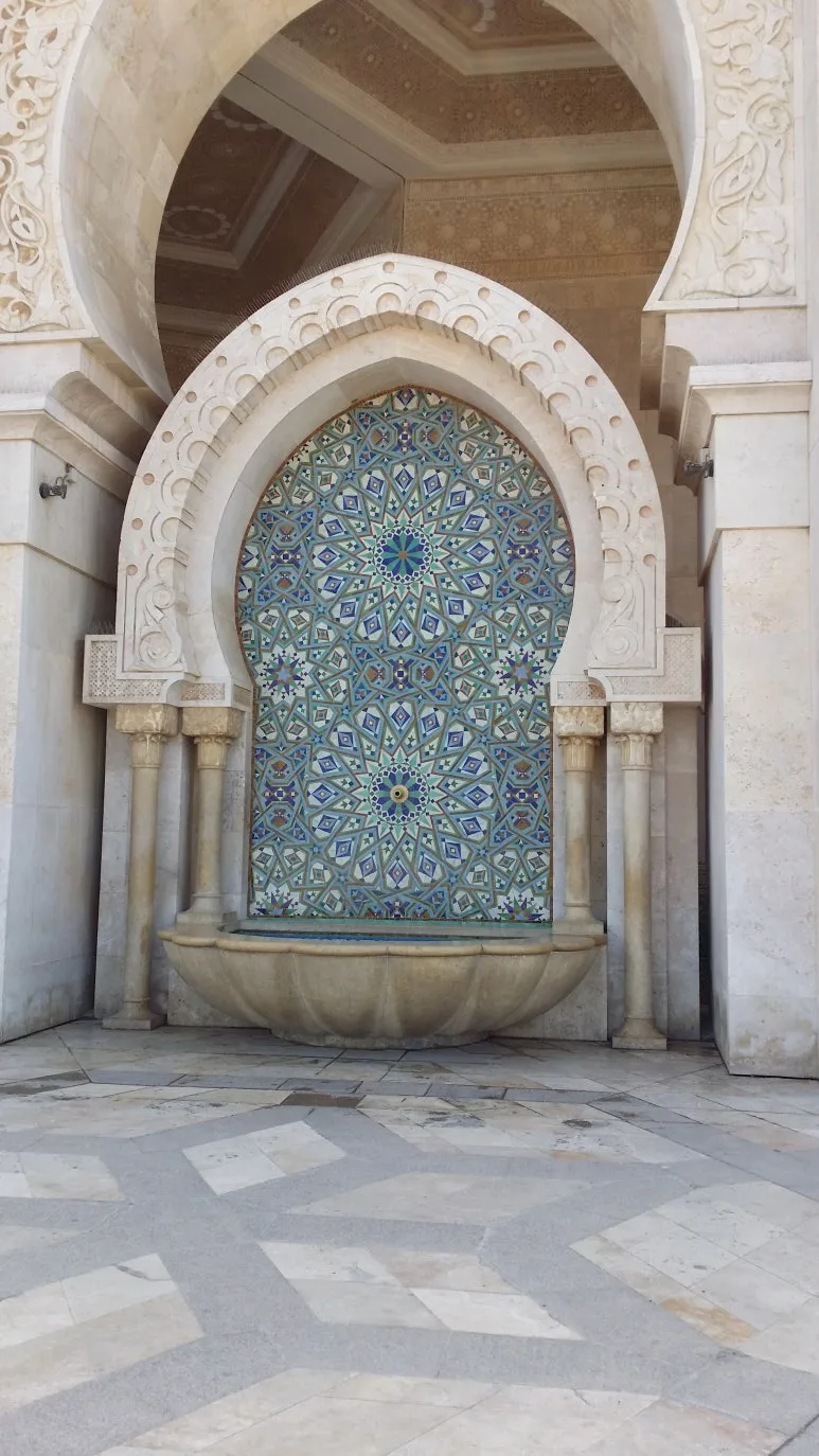 20180502_091351.jpg?type=w773