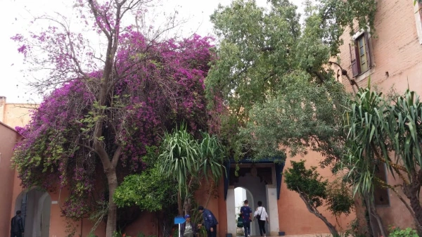 20180503_144333.jpg?type=w773