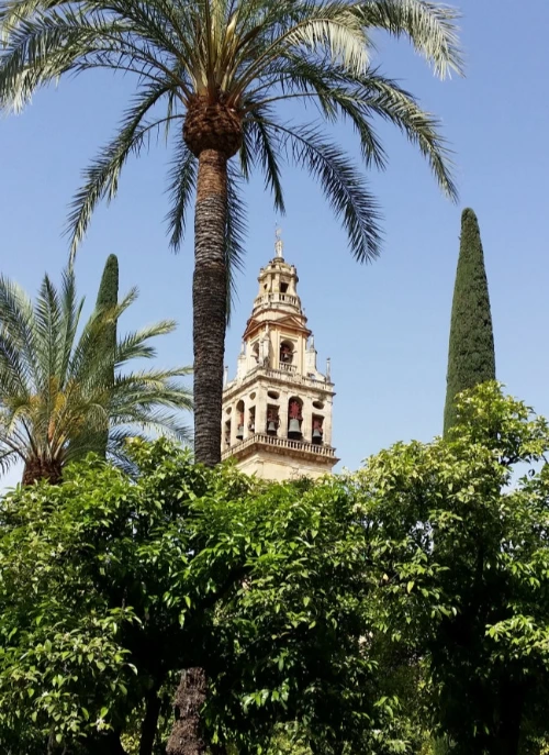 20180424_113423.jpg?type=w773