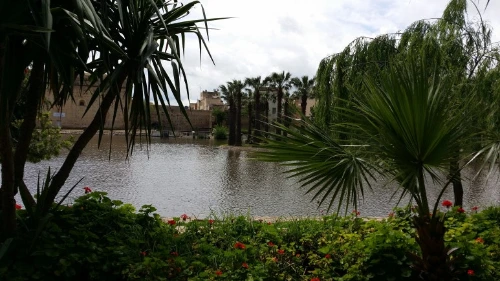 20180501_123004.jpg?type=w773