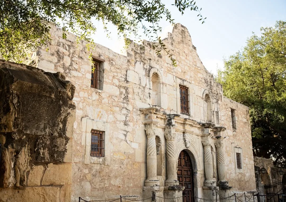 officialalamo_1768884277562.jpeg