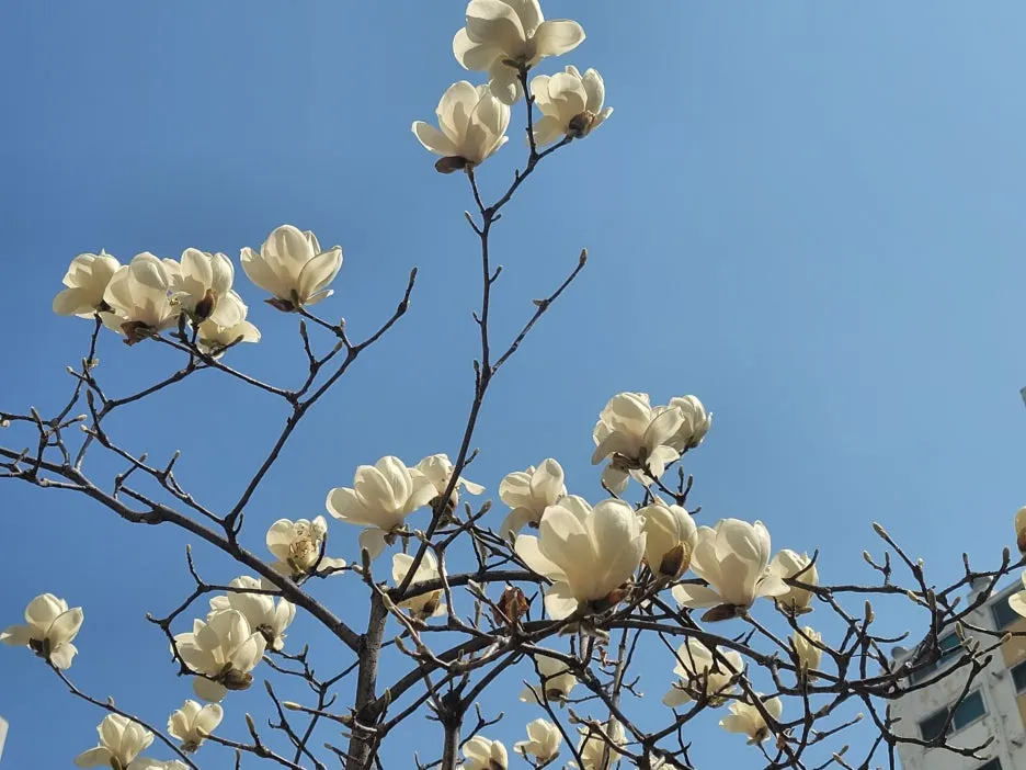 KakaoTalk_20260321_202817572.jpg?type=w1