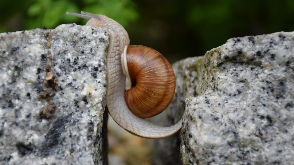 %EC%9D%B8%EA%B0%84%EA%B4%80%EA%B3%84%EB%A1%A0_(289).png?type=w1