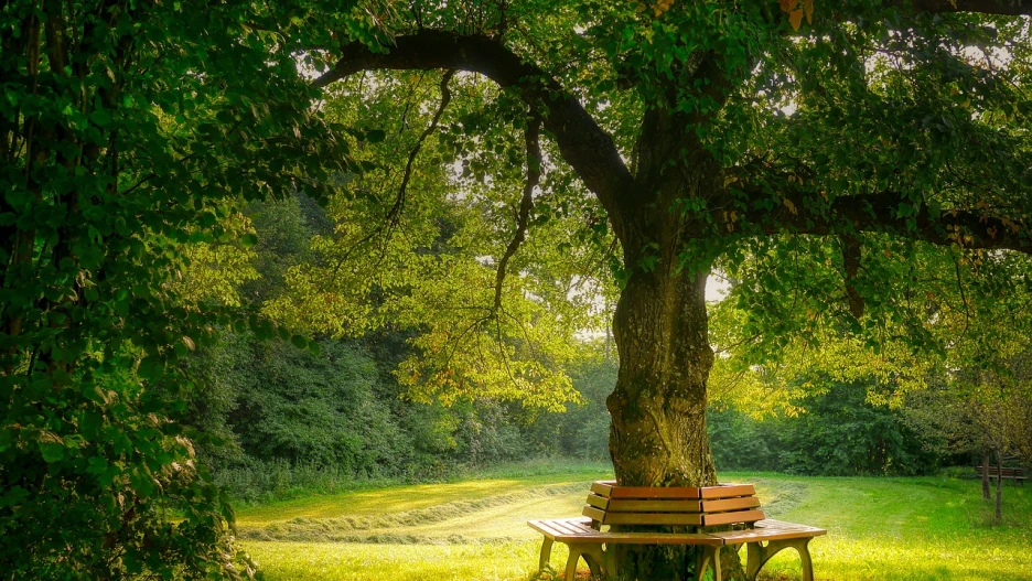 %EC%9D%B8%EA%B0%84%EA%B4%80%EA%B3%84%EB%A1%A0_(108).png?type=w1