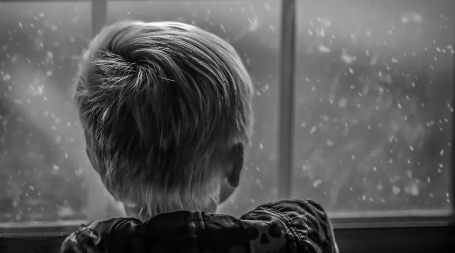 SE-e37eed42-1c7a-487c-9cfb-b1eefabcee2f.jpg?type=w1