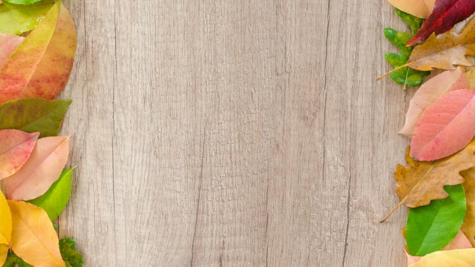 %EB%B0%94%EB%B3%B4%EB%93%A4%EC%9D%98%EB%B0%B0_(24).png?type=w1