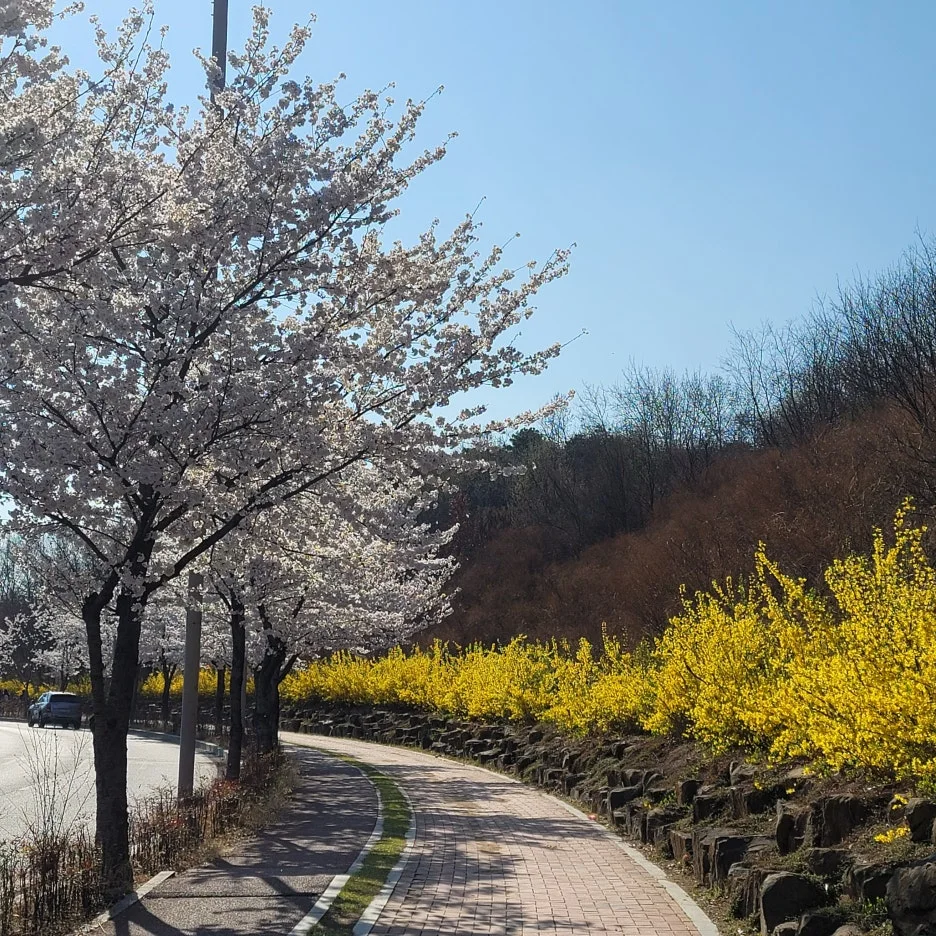 KakaoTalk_20260405_174931396.jpg?type=w1