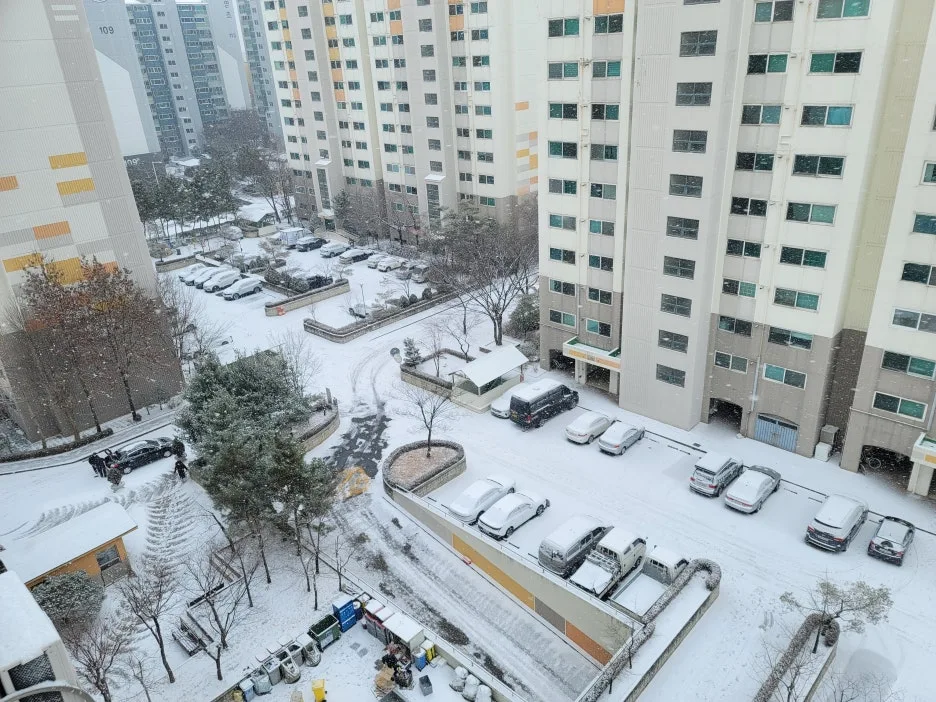 KakaoTalk_20260202_223101558_01.jpg?type=w1