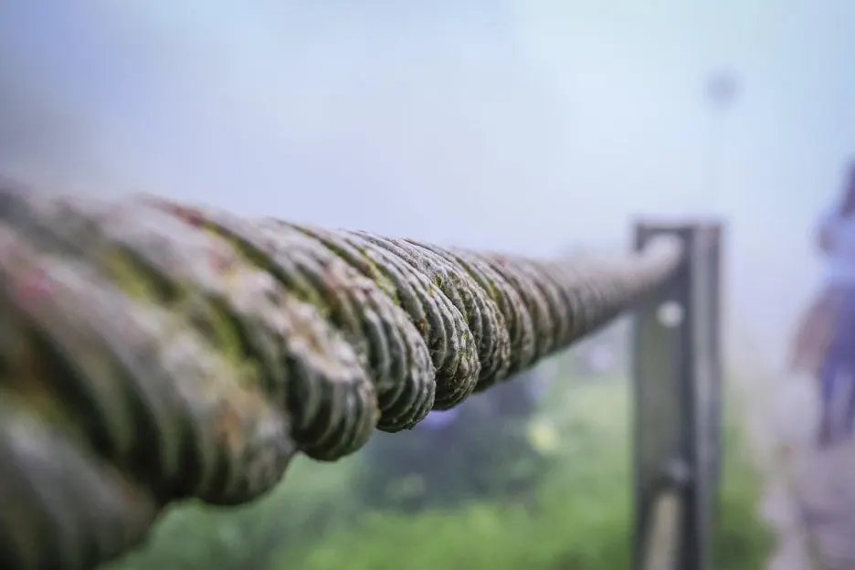 wire-4674182_1280.jpg?type=w1