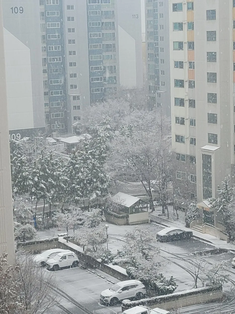 KakaoTalk_20260224_210715033_02.jpg?type=w1