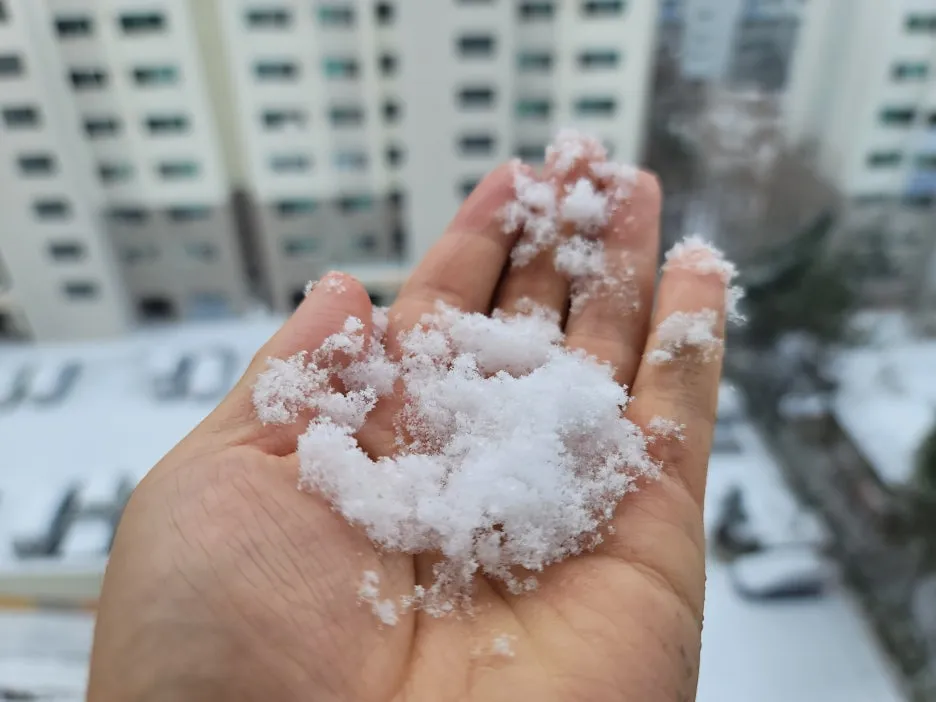 KakaoTalk_20260202_223101558.jpg?type=w1