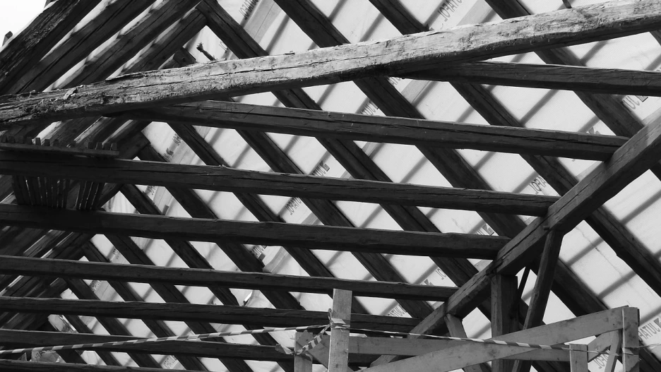 %EC%9D%B8%EA%B0%84%EA%B4%80%EA%B3%84%EB%A1%A0_(292).png?type=w1