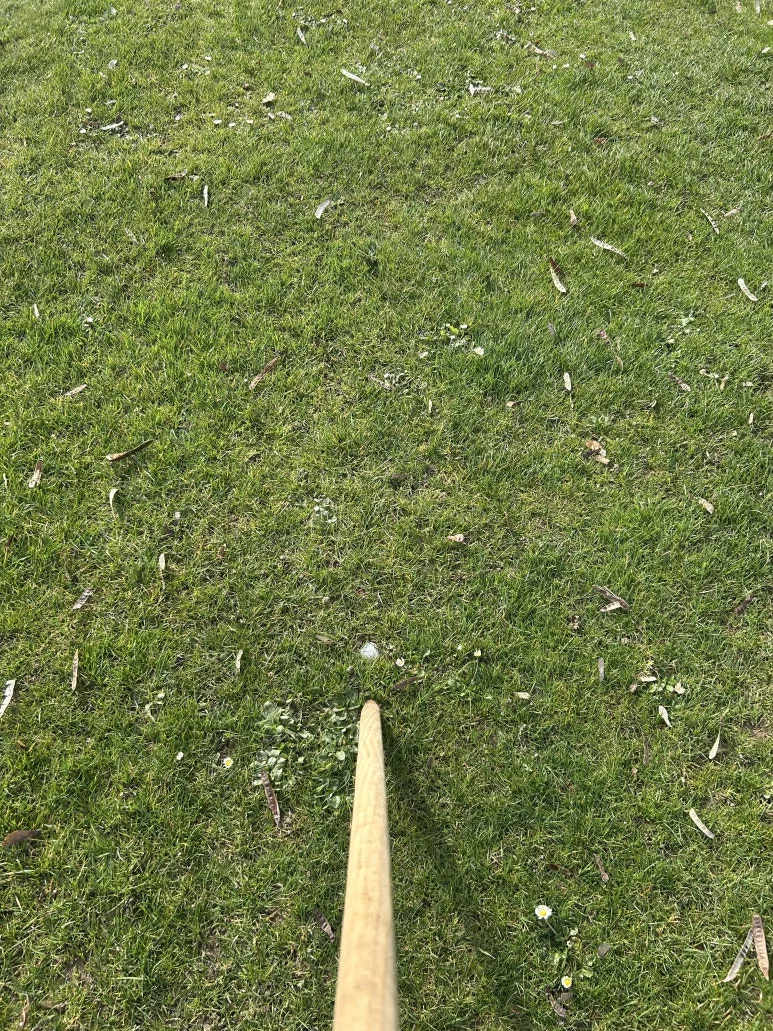 IMG_1927.jpg?type=w773