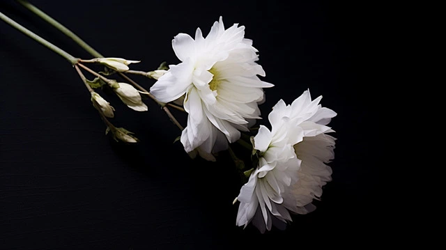 %EA%B4%B4%EB%AC%BC.jpg?type=w1