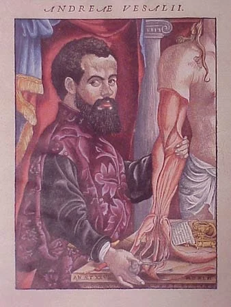 %EB%B2%A0%EC%82%B4%EB%A6%AC%EC%9A%B0%EC%8A%A42.jpg?type=w1