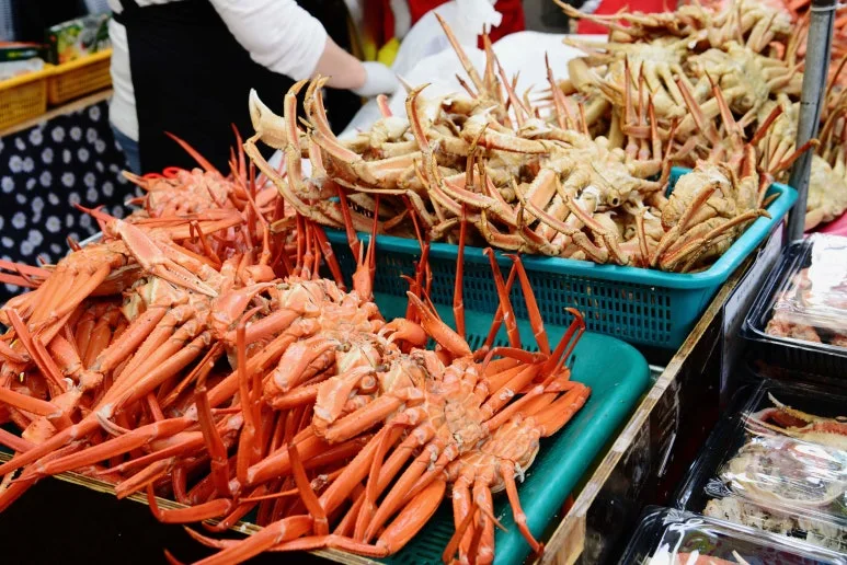 Type1_%EC%86%8D%EC%B4%88_%EA%B4%80%EA%B4%91%EC%88%98%EC%82%B0%EC%8B%9C%EC%9E%A5_%ED%85%8C%EB%A7%88%EC%83%81%ED%92%88%ED%8C%80_IR_%EC%8A%A4%ED%8A%9C%EB%94%94%EC%98%A4_i30X6a.jpg?type=w773