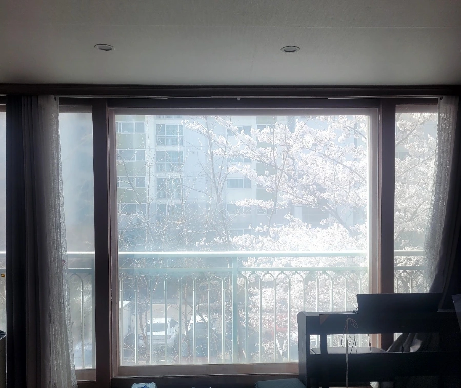 900%EF%BC%BF1775315578269.jpg?type=w1