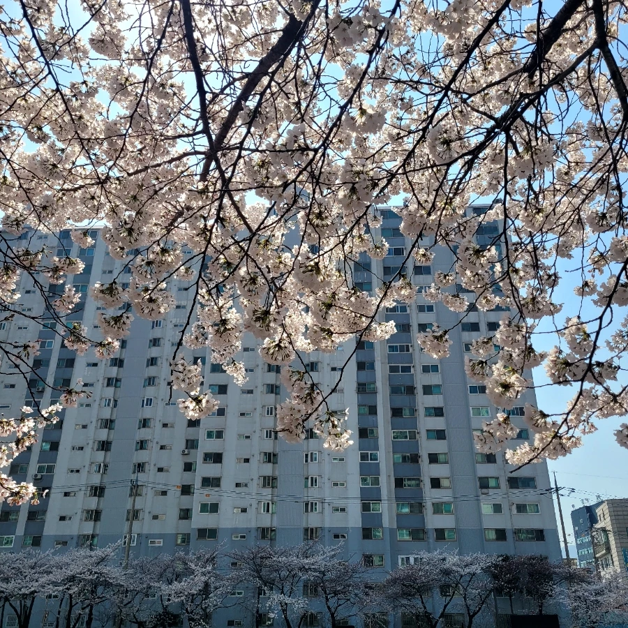 900%EF%BC%BF20260402%EF%BC%BF133359.jpg?type=w1