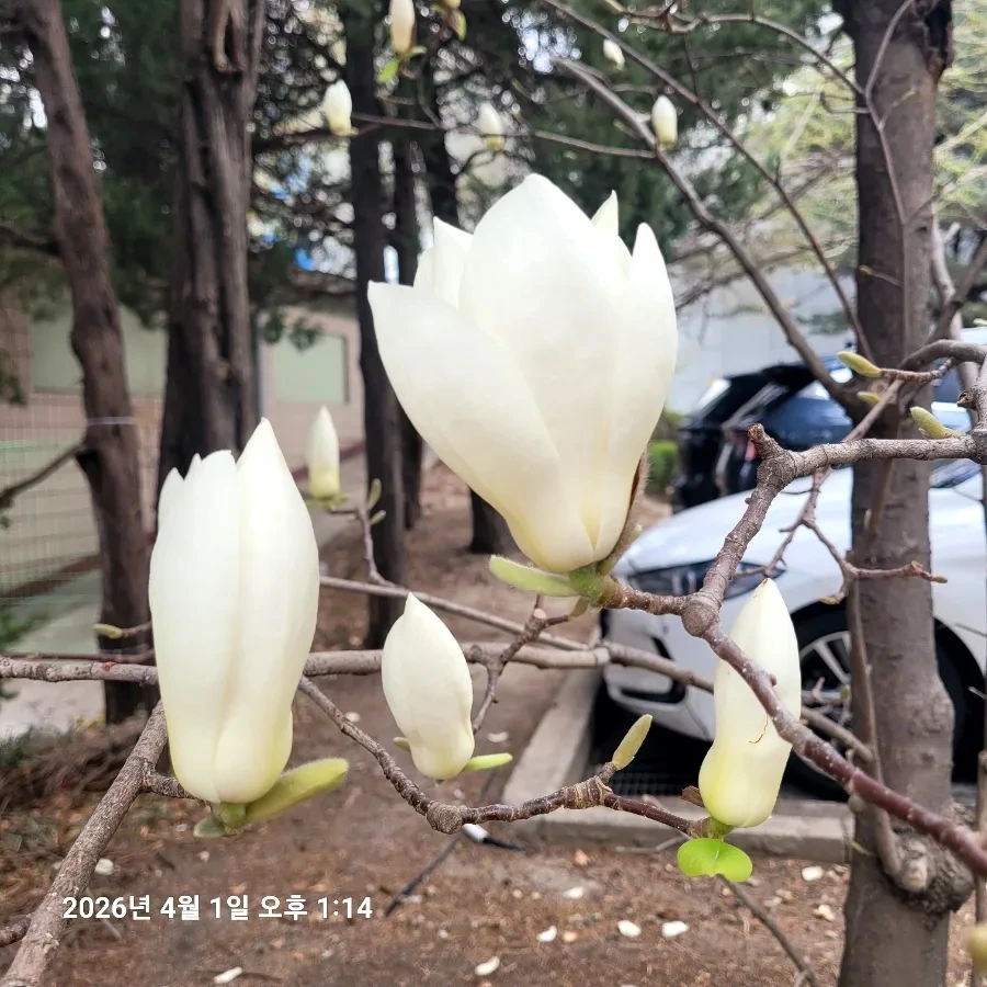 900%EF%BC%BF20260401%EF%BC%BF131443.jpg?type=w1