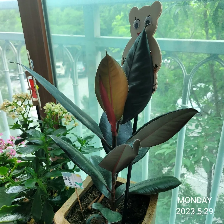 20230529%EF%BC%BF115538.jpg?type=w1